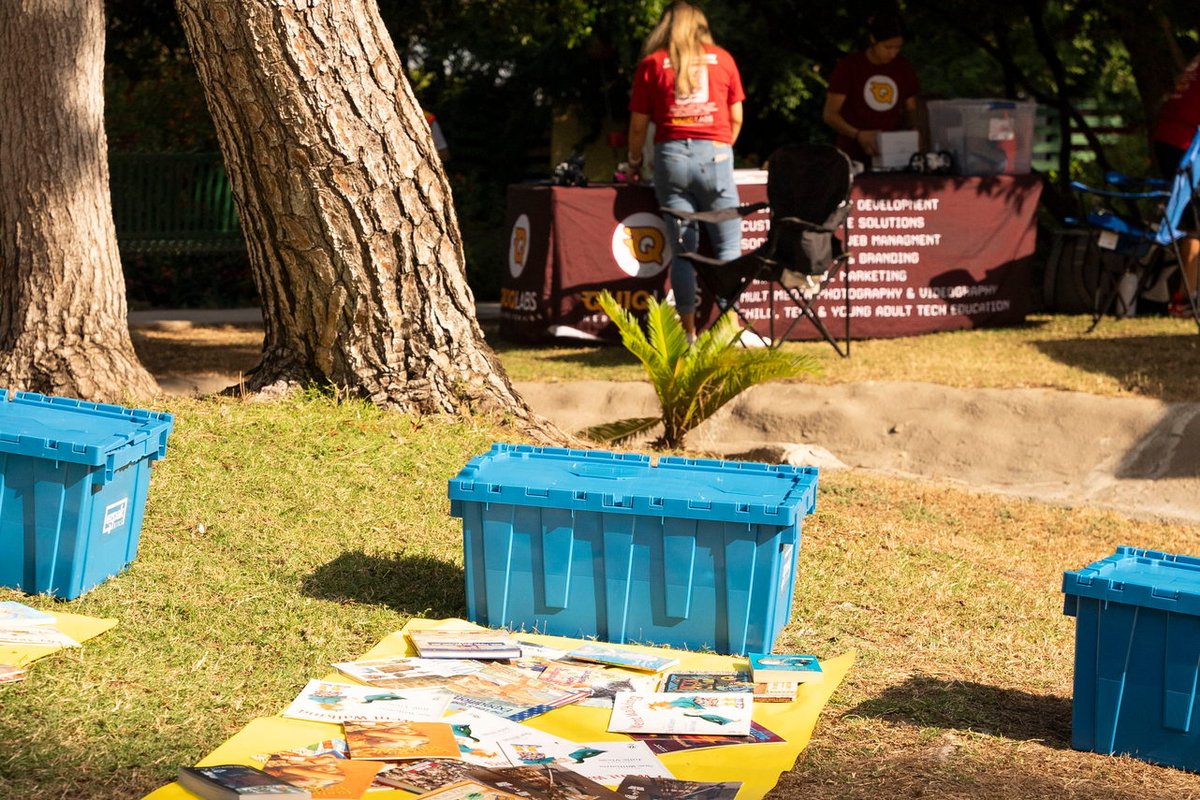 Blue EZPak Bins moving crates lined up on the grass at an outdoor community event with books on display